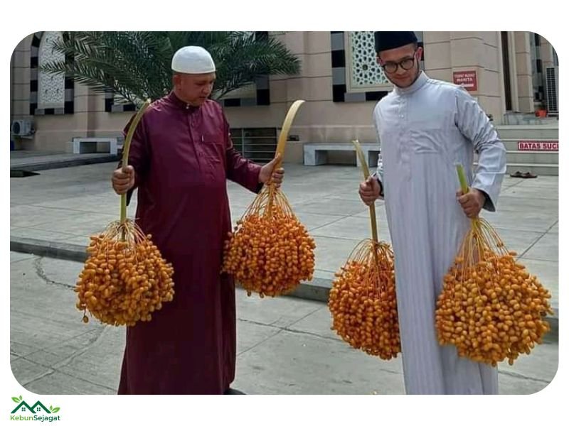 Alhamdulillah Menuai Banyak