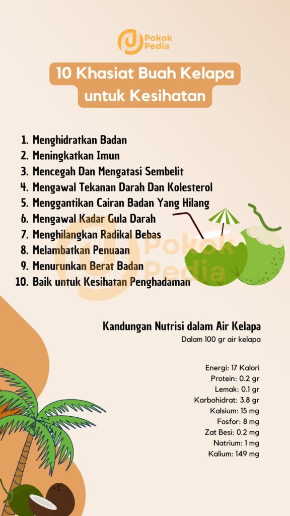 Infographic Khasiat Buah Kelapa
