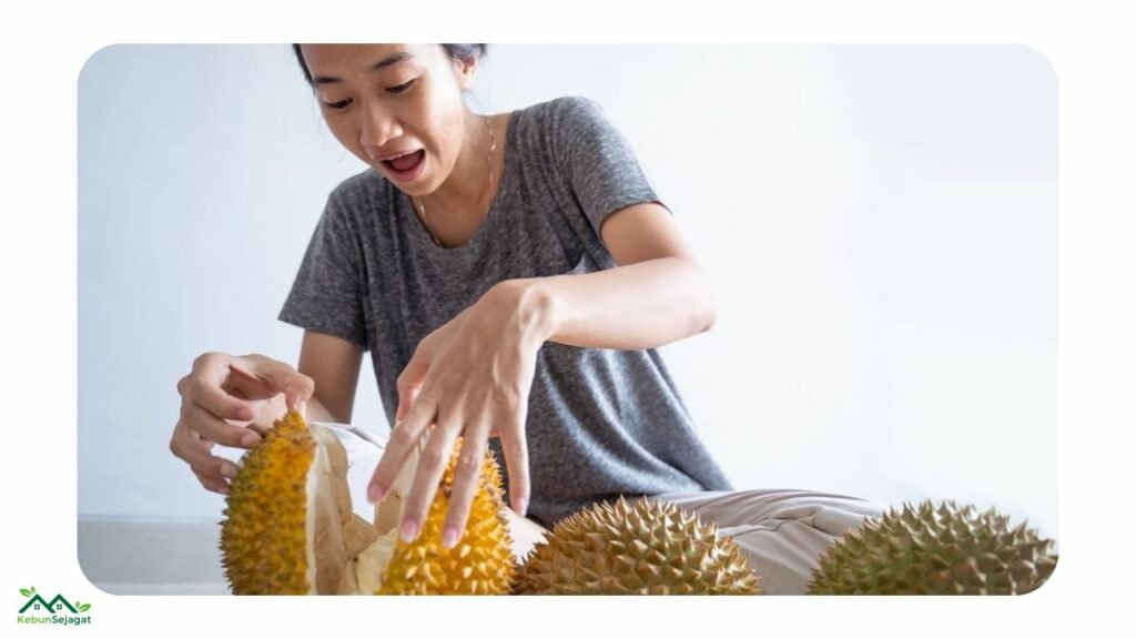 Durian untuk Ibu Hamil