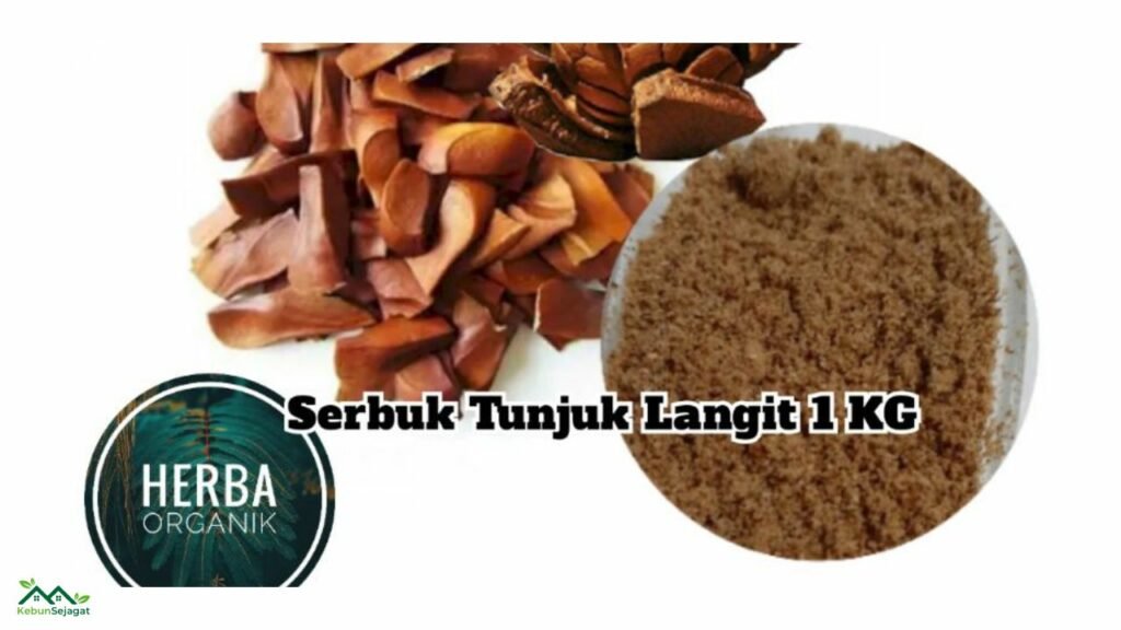 Priduk Herba Buah Tunjuk Langit