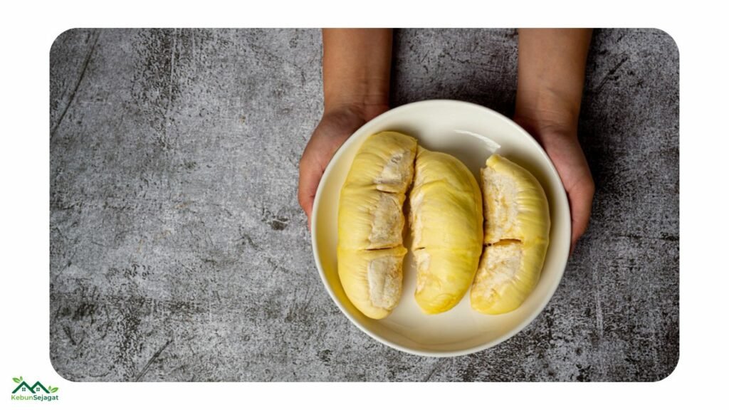 Risiko Makan Durian