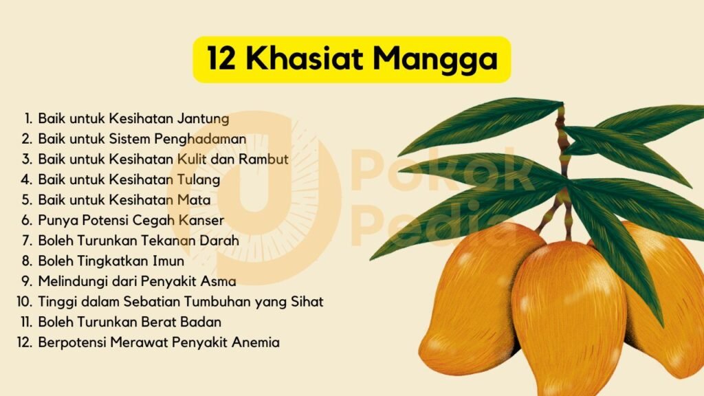 Khasiat Buah Mangga