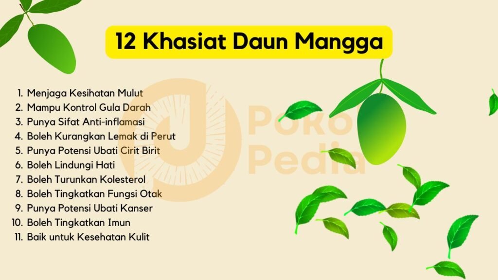 Khasiat Daun Mangga