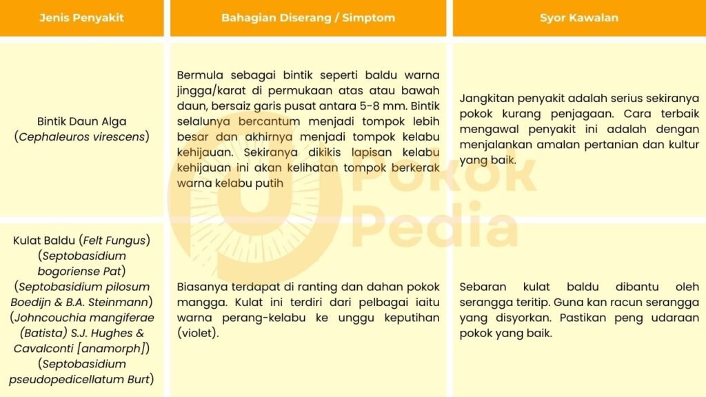 Macam Macam Penyakit Pokok Mangga