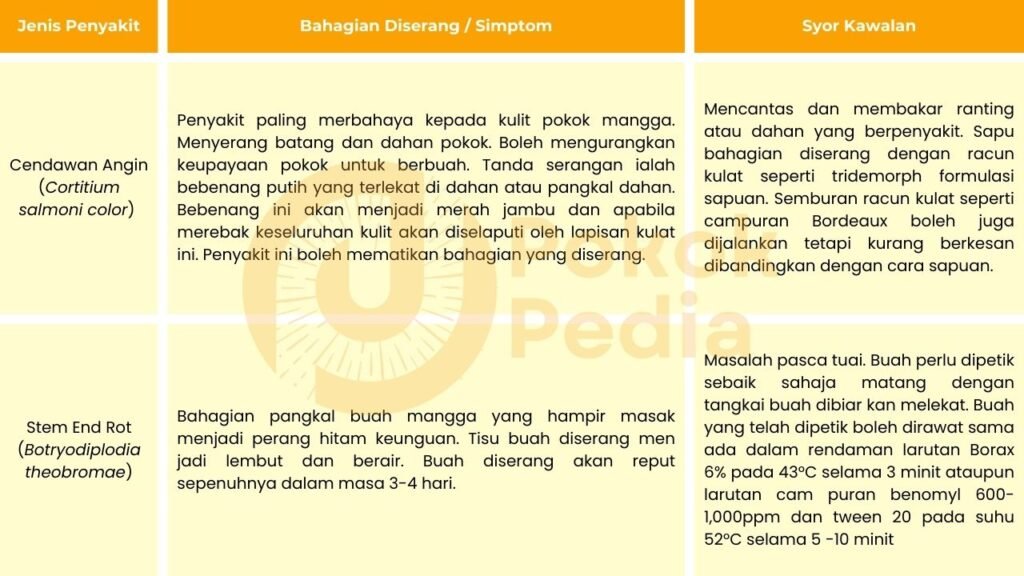 Macam Penyakit Pokok Mangga