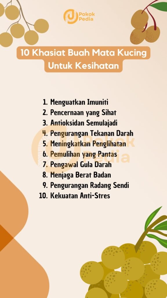 Infographic Khasiat Buah Mata Kucing