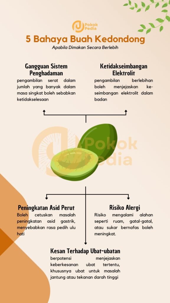Infographic Bahaya Buah Kedondong