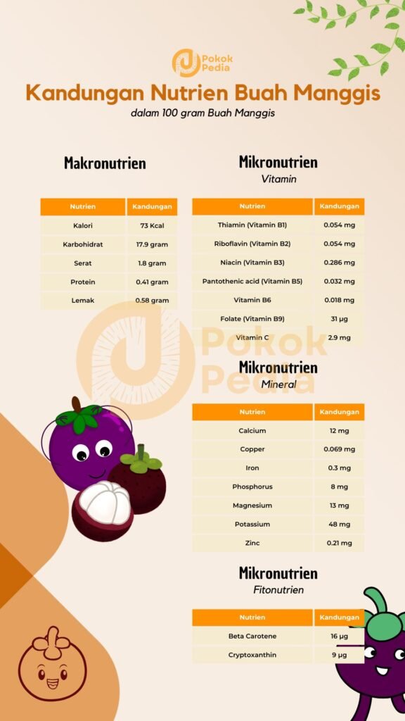 Infographic Kandungan Nutrien Buah Manggis