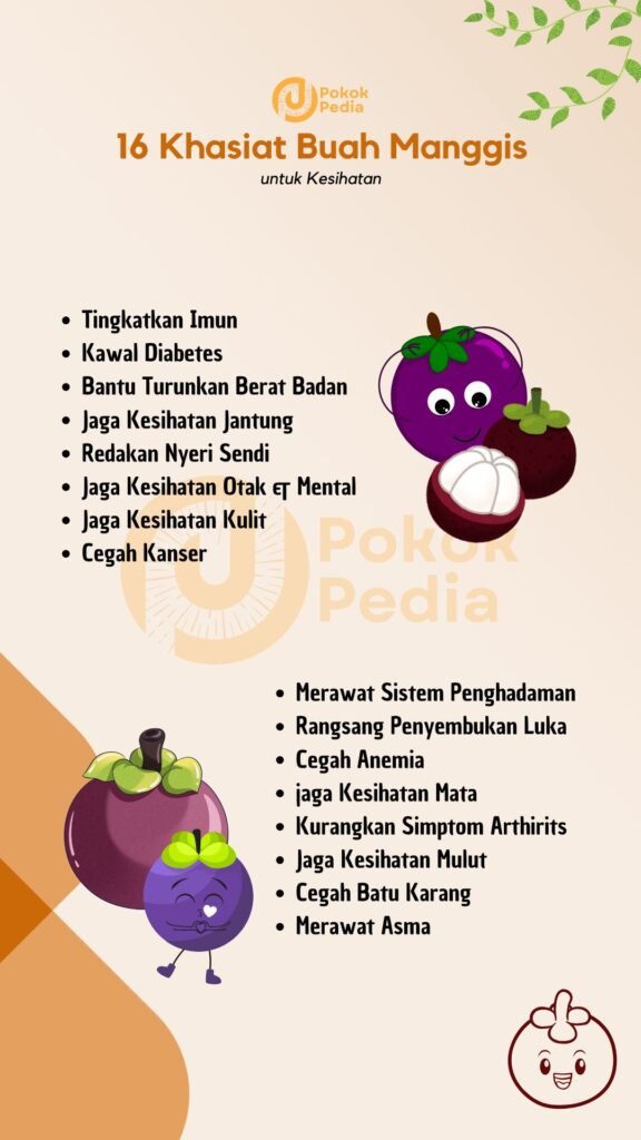 Infographic Khasiat Buah Manggis