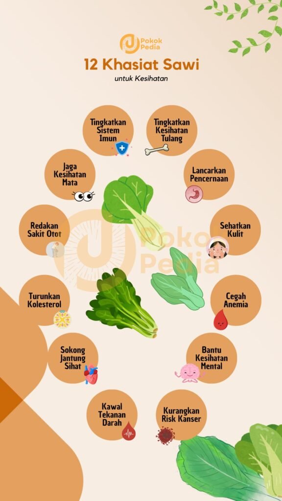 Infographic Khasiat Sawi