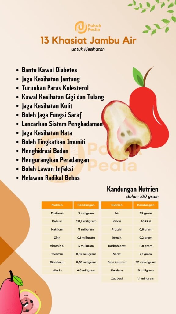 Infographics Khasiat Jambu Air