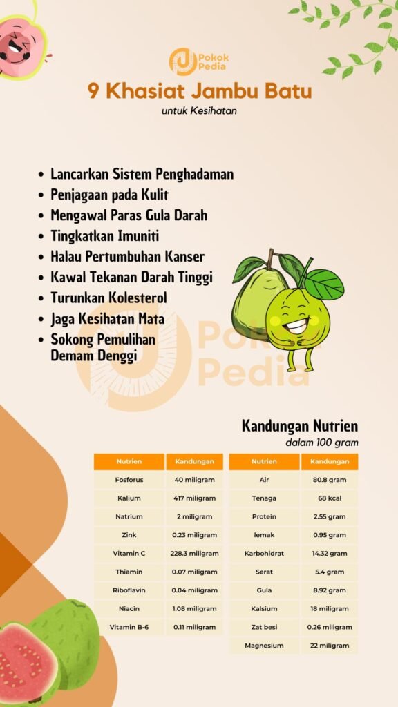 Infographics Khasiat Jambu Batu