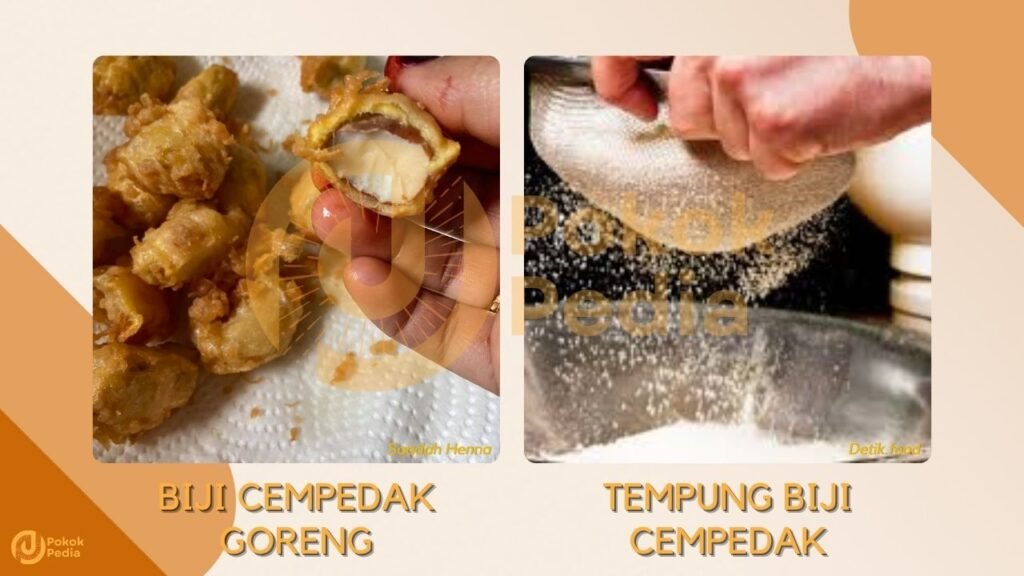 Cara Mengolah Biji Cempedak