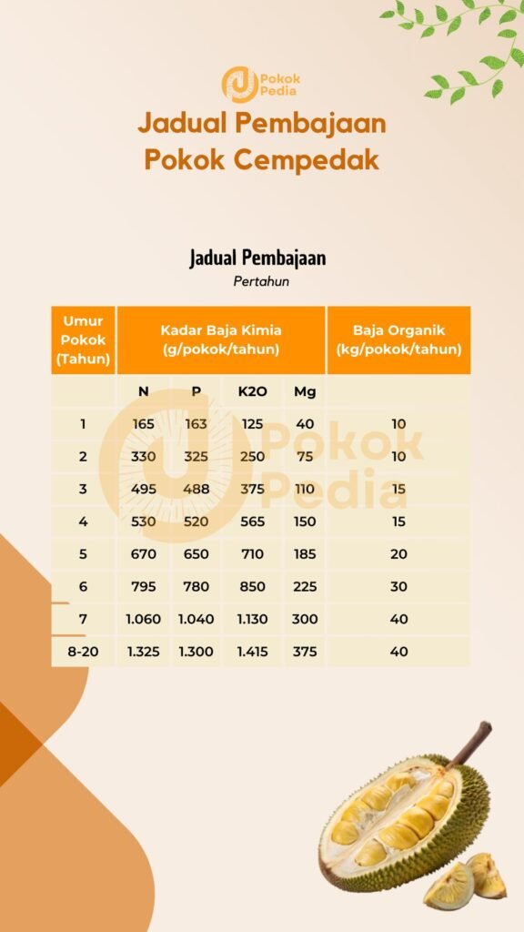 Infographic Jadual Pembajaan Pokok Cempedak