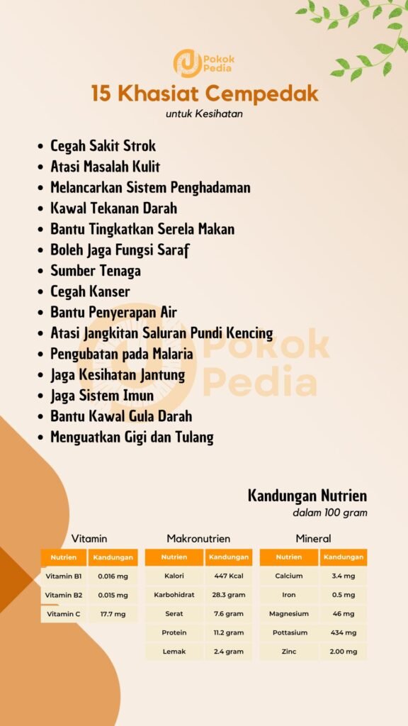 Infographics Khasiat Cempedak
